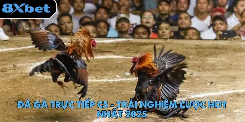 Đá Gà Trực Tiếp C5 - Trải Nghiệm Cược Hot Nhất 2025 da-ga-truc-tiep-c5